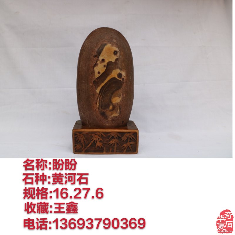 新春佳节之际洛阳的石友们给您拜年啦!