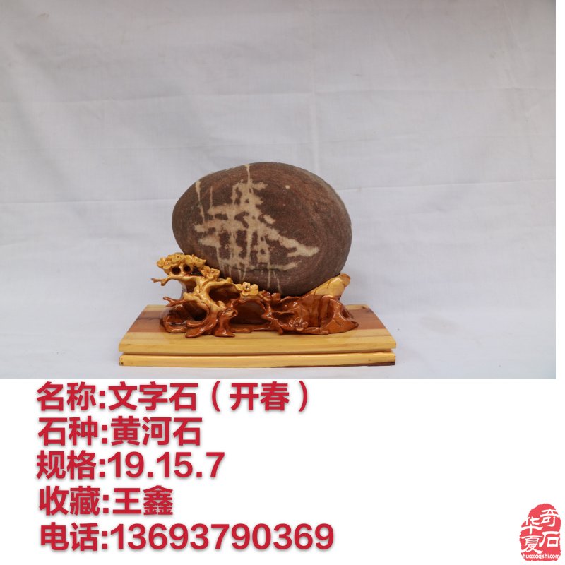 新春佳节之际洛阳的石友们给您拜年啦!