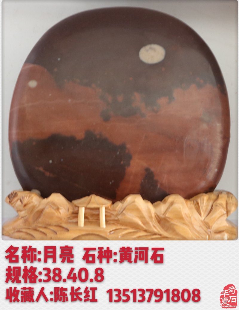 新春佳节之际洛阳的石友们给您拜年啦!