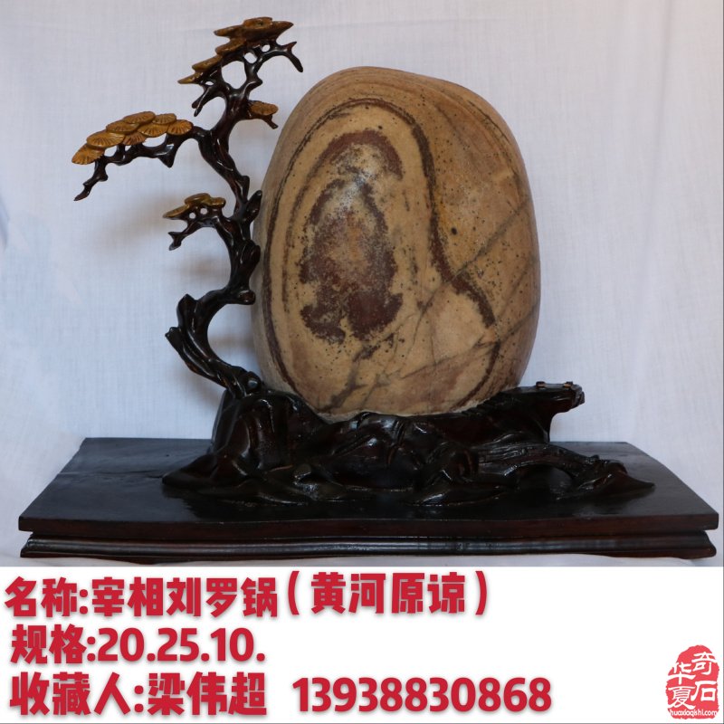 新春佳节之际洛阳的石友们给您拜年啦!