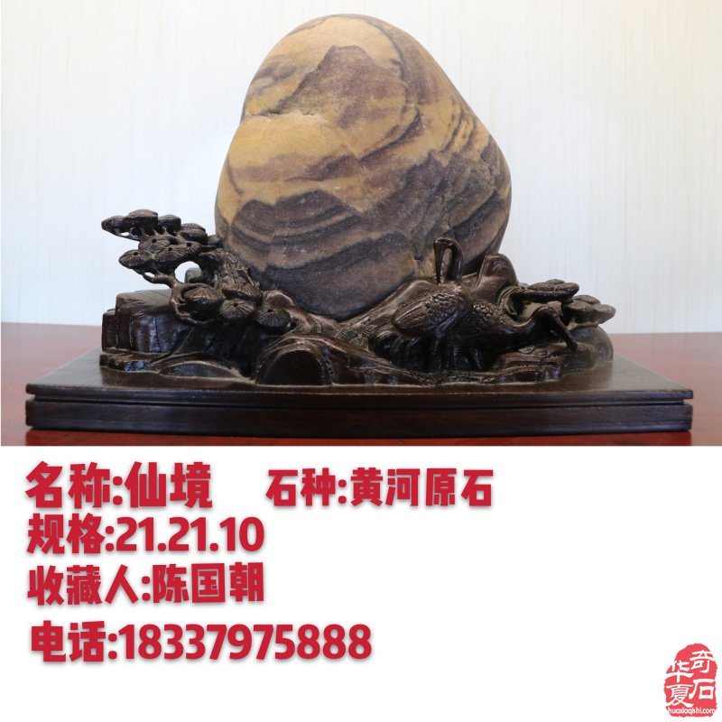 新春佳节之际洛阳的石友们给您拜年啦!