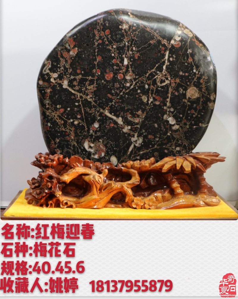 新春佳节之际洛阳的石友们给您拜年啦!