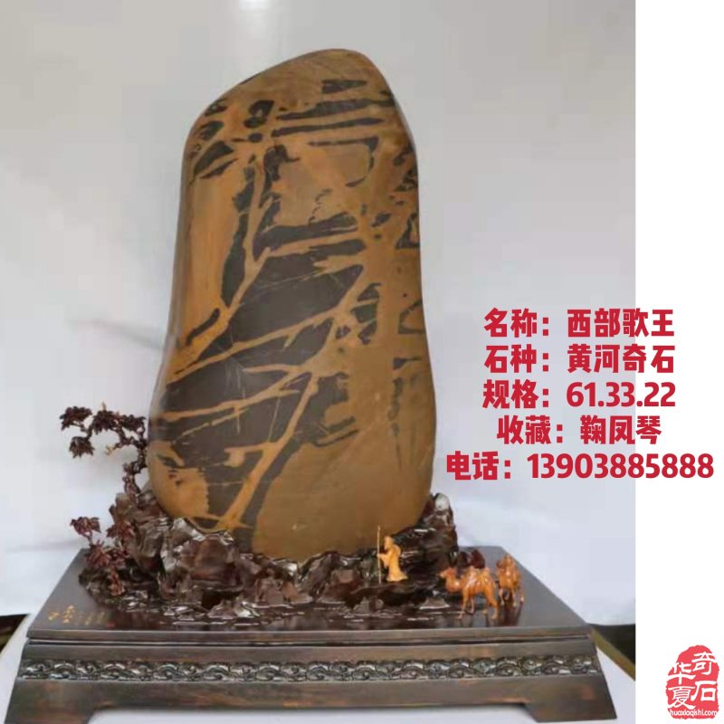 新春佳节之际洛阳的石友们给您拜年啦!