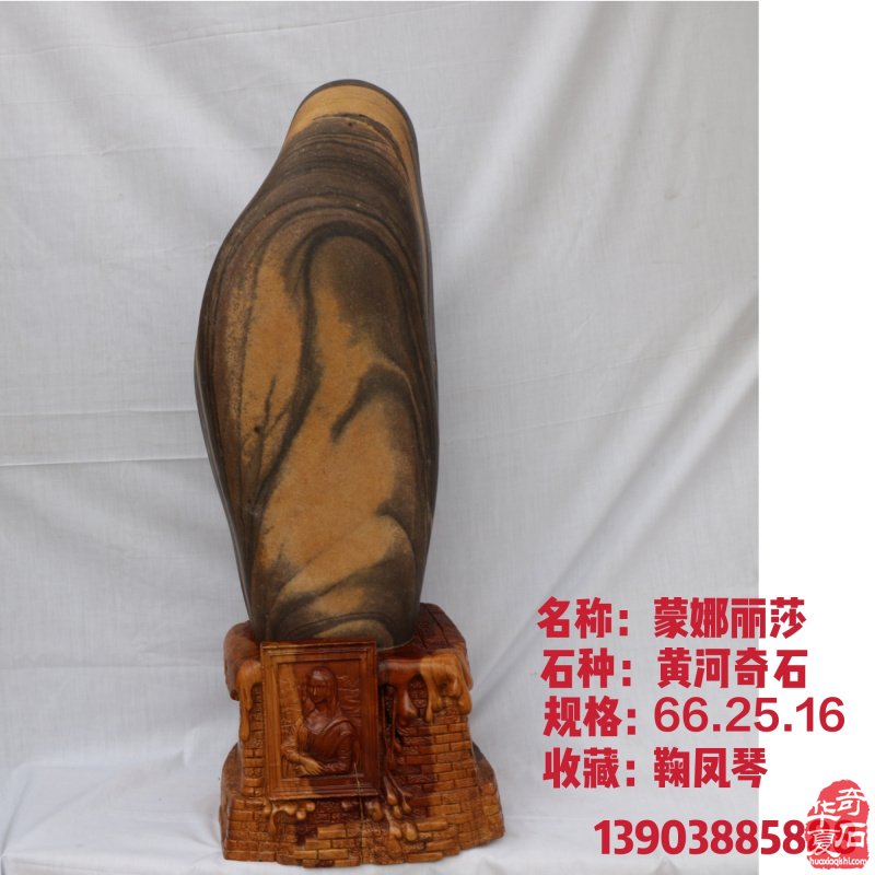 新春佳节之际洛阳的石友们给您拜年啦!