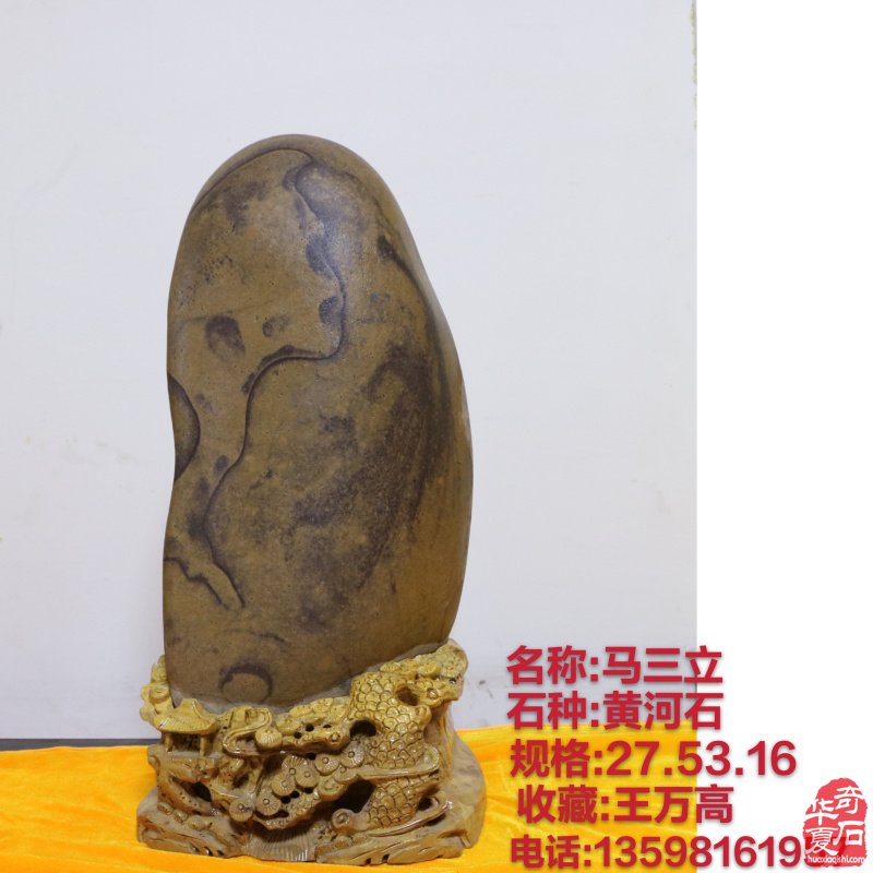 新春佳节之际洛阳的石友们给您拜年啦!