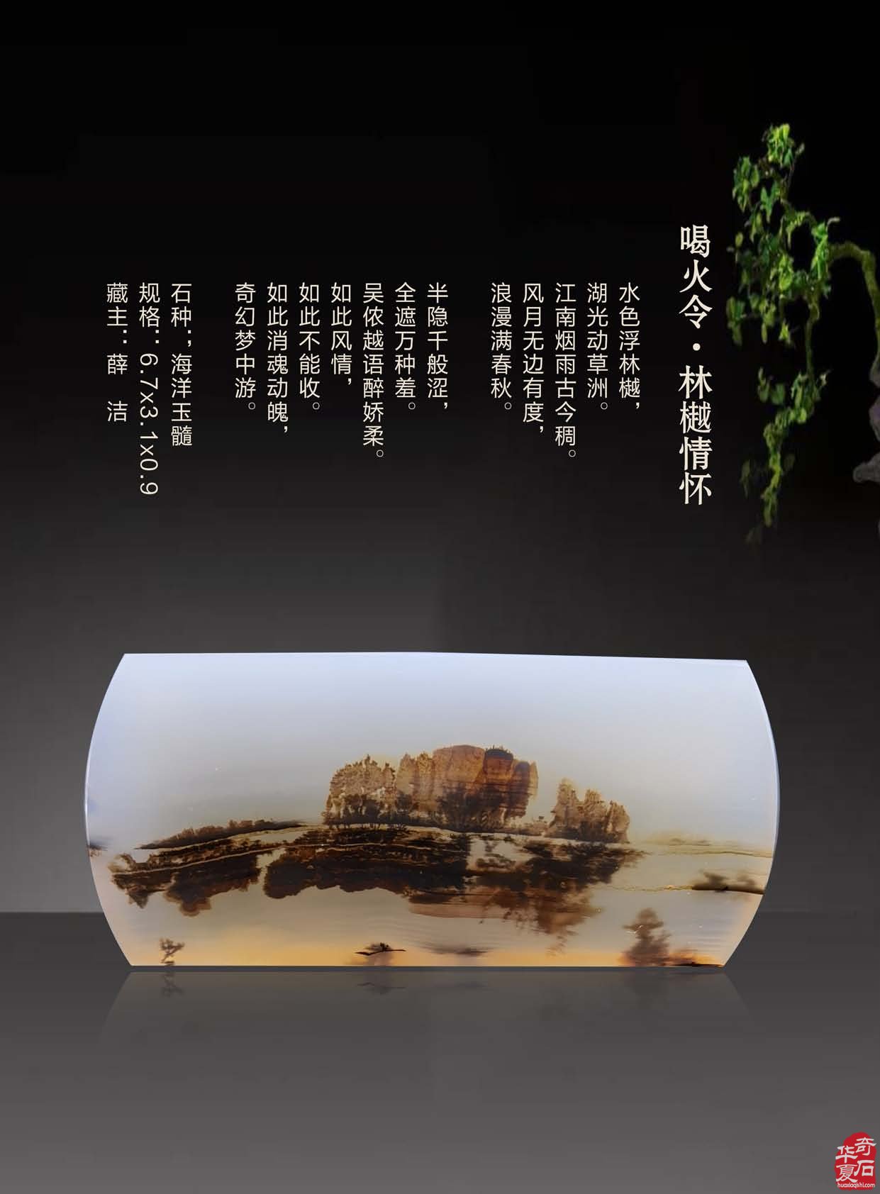 《于公赏石》电子版杂志阅读方便快捷 图