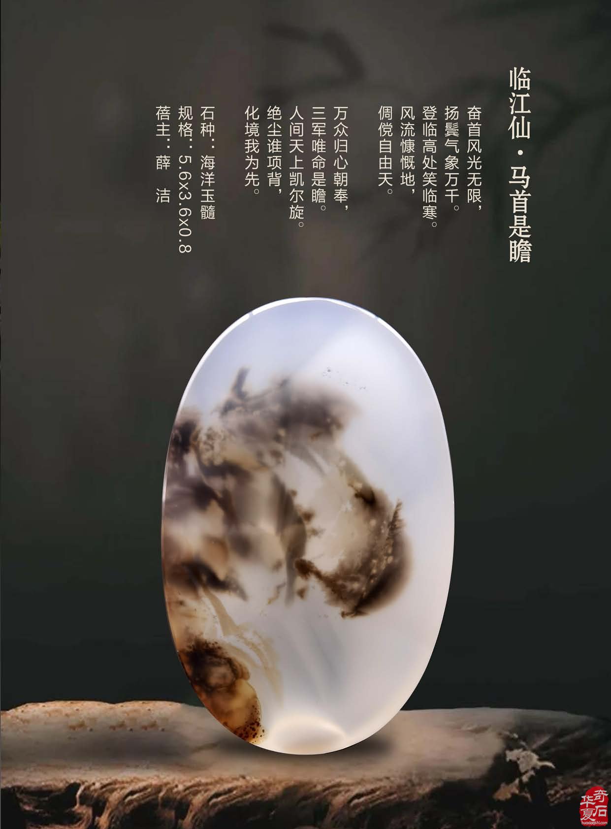《于公赏石》电子版杂志阅读方便快捷 图