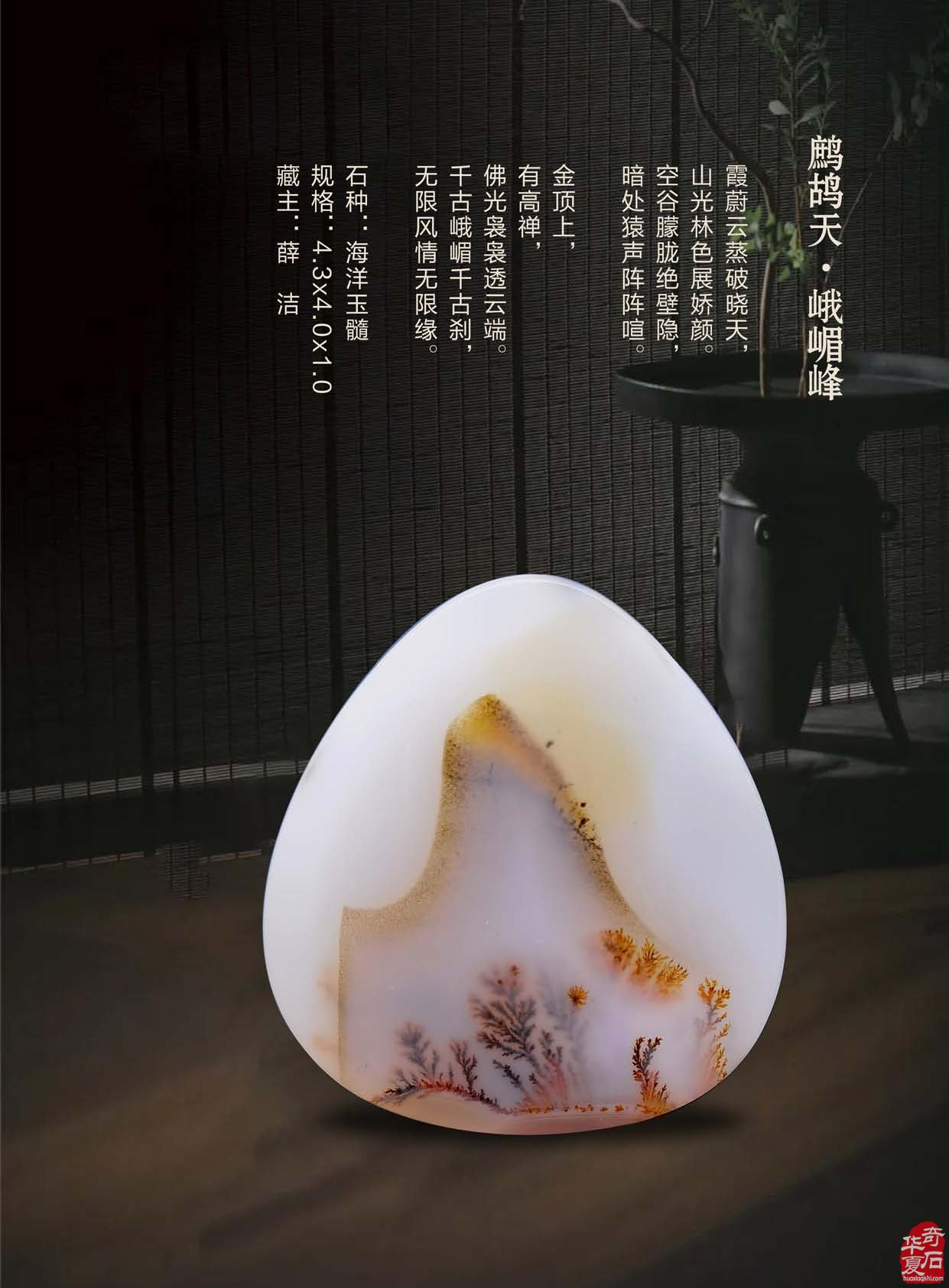 《于公赏石》电子版杂志阅读方便快捷 图
