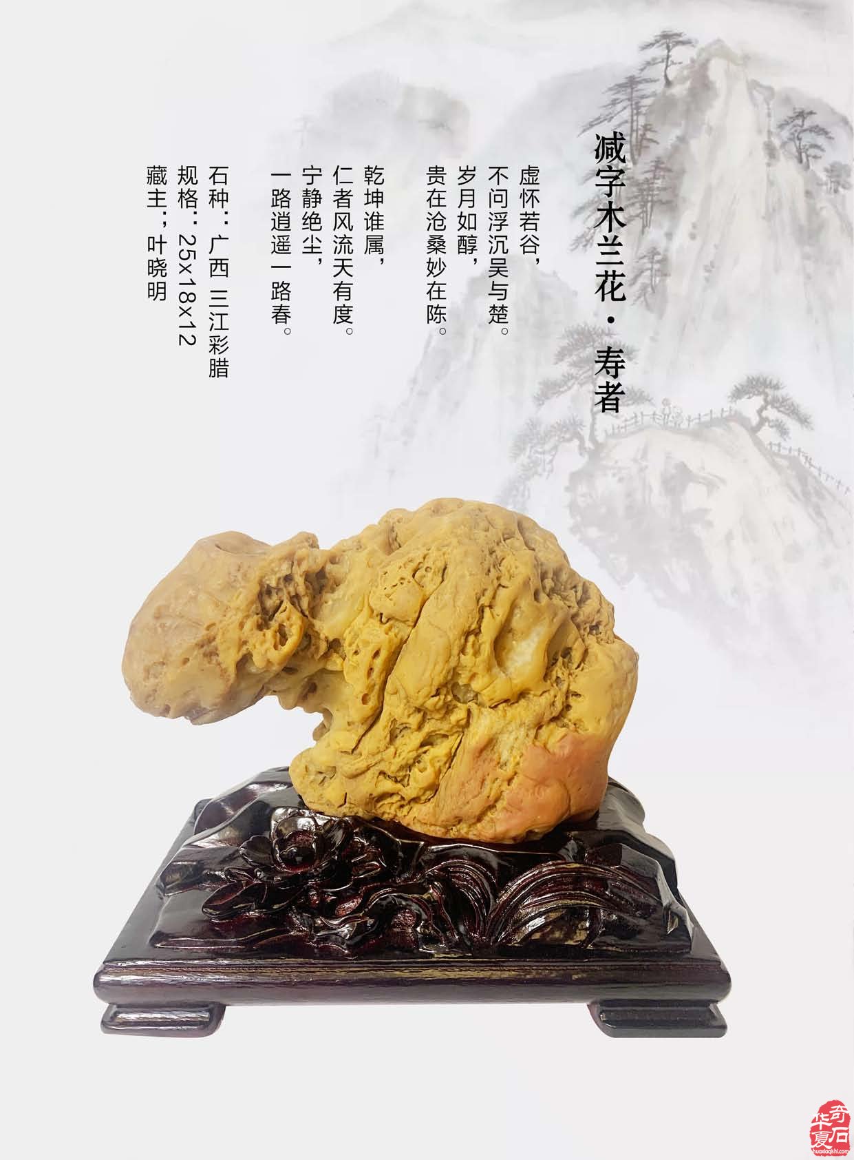 《于公赏石》电子版杂志阅读方便快捷 图