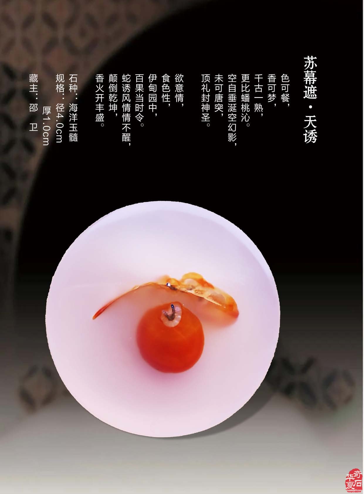 《于公赏石》电子版杂志阅读方便快捷 图