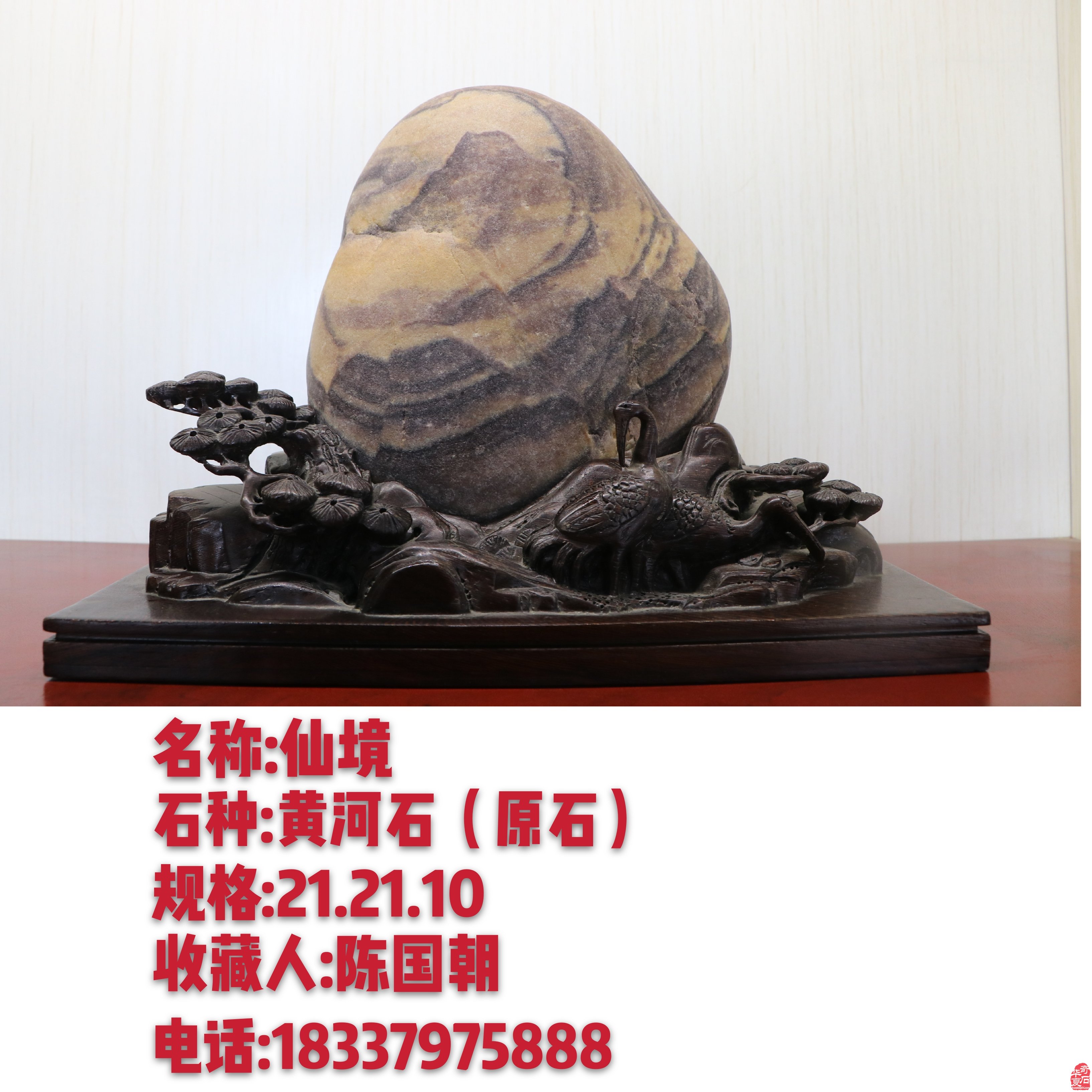 龙_搜宝网|中国奇石博物馆