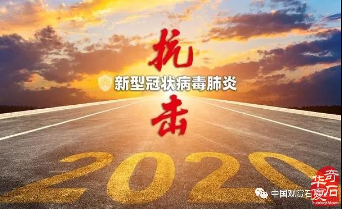 2020年中国观赏石协会及赏石界十大要闻