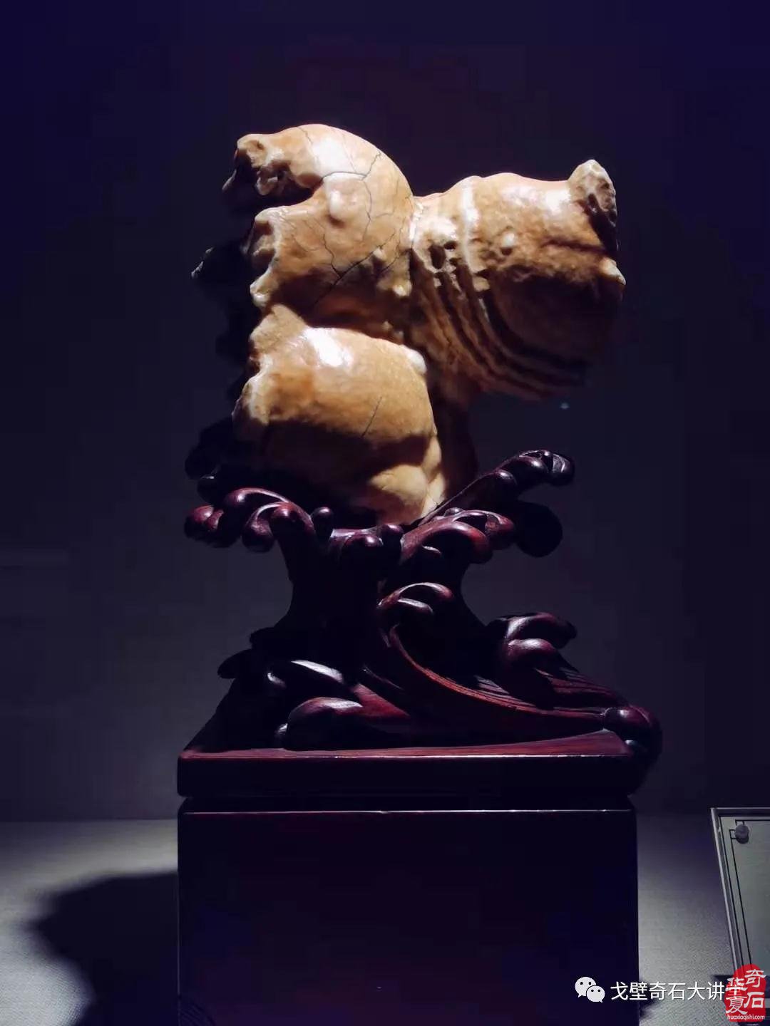 春节后,第一大展在洛阳城!——黄河流域九省区赏石文化博览会暨中国(洛阳)第三十届国际赏石文化艺术展交易会