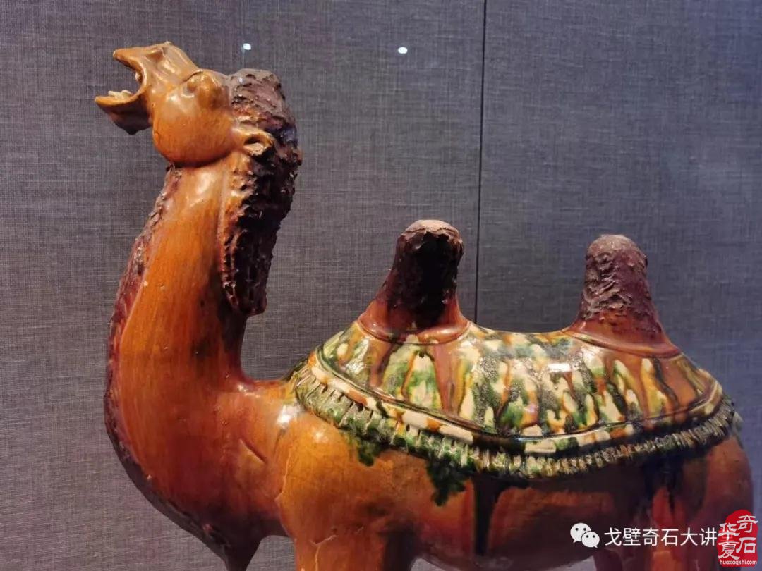 春节后,第一大展在洛阳城!——黄河流域九省区赏石文化博览会暨中国(洛阳)第三十届国际赏石文化艺术展交易会