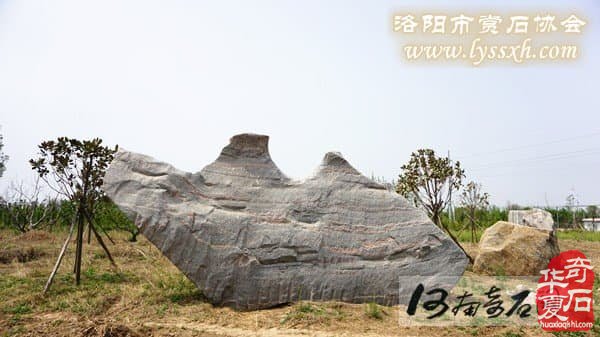 郑州假山设计 郑州假山制作 郑州假山石销售 郑州假山石供应；郑州景观石销售，郑州景石基地，郑州镇宅石销售，郑州风水石销售，郑州石头刻字 郑州园林石厂家 郑州风景石基地 郑州园林石销售
