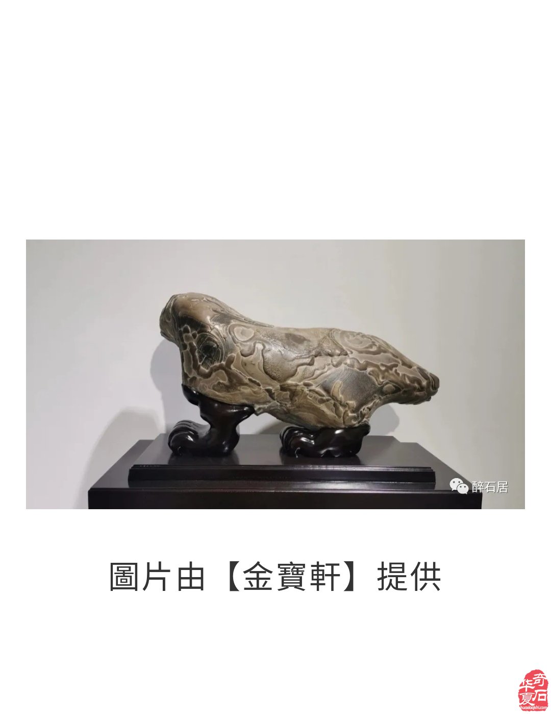 惊艳火爆石界的陈炉石怎肯缺席洛阳石展