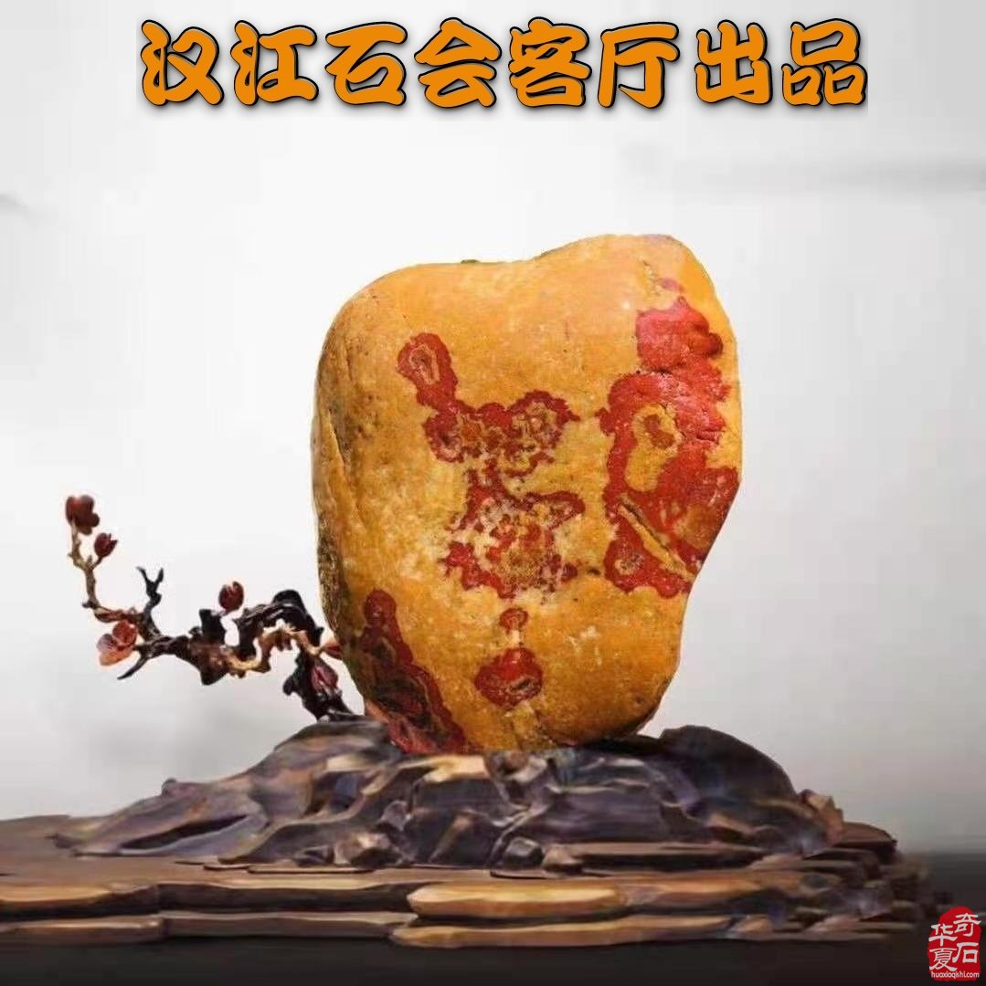 洛阳石展《汉江石会客厅》的汉江石来啦!