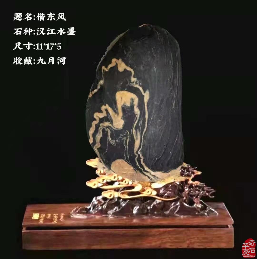 洛阳石展《汉江石会客厅》的汉江石来啦!
