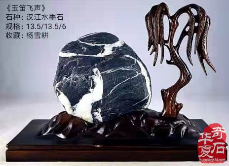 洛阳石展《汉江石会客厅》的汉江石来啦!