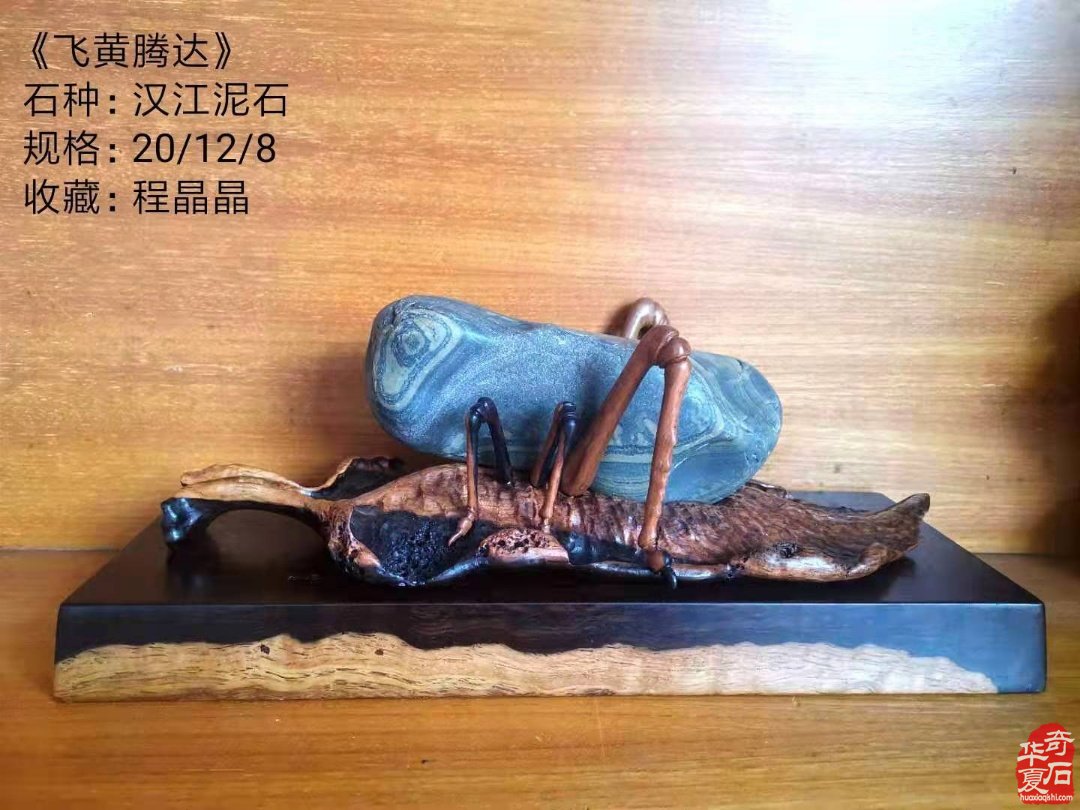 洛阳石展《汉江石会客厅》的汉江石来啦!