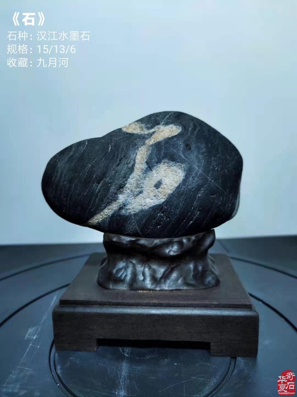 洛阳石展《汉江石会客厅》的汉江石来啦!