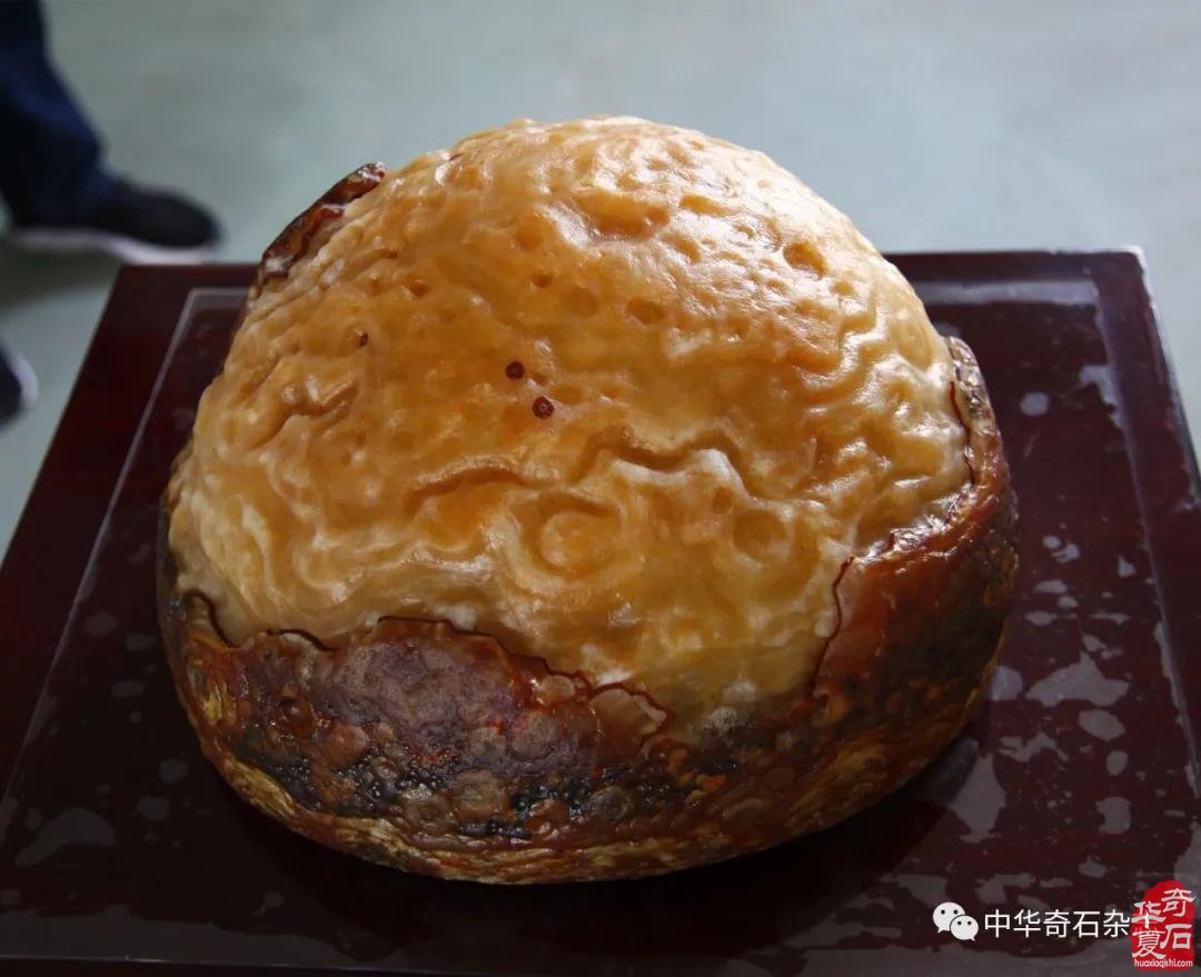 谷城锦沁文化艺术博览馆精品荟萃 图