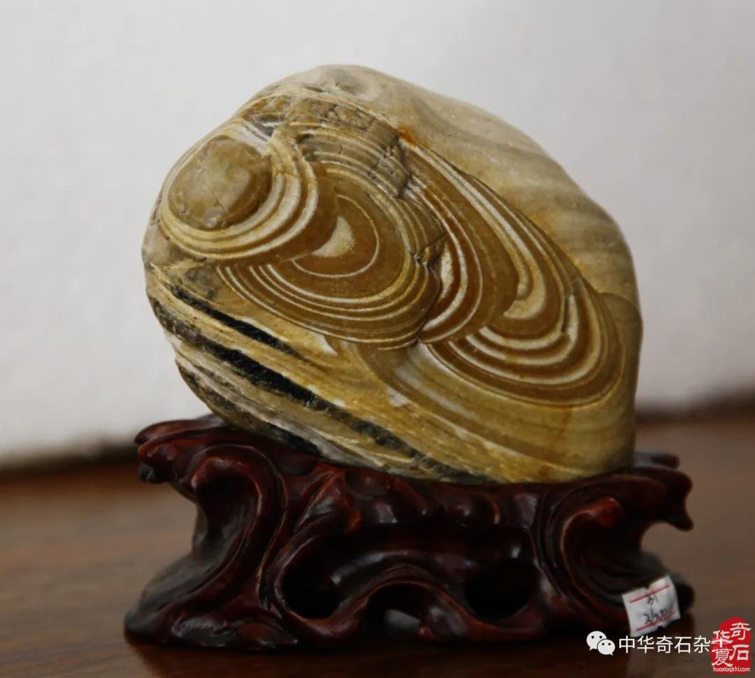 谷城锦沁文化艺术博览馆精品荟萃 图
