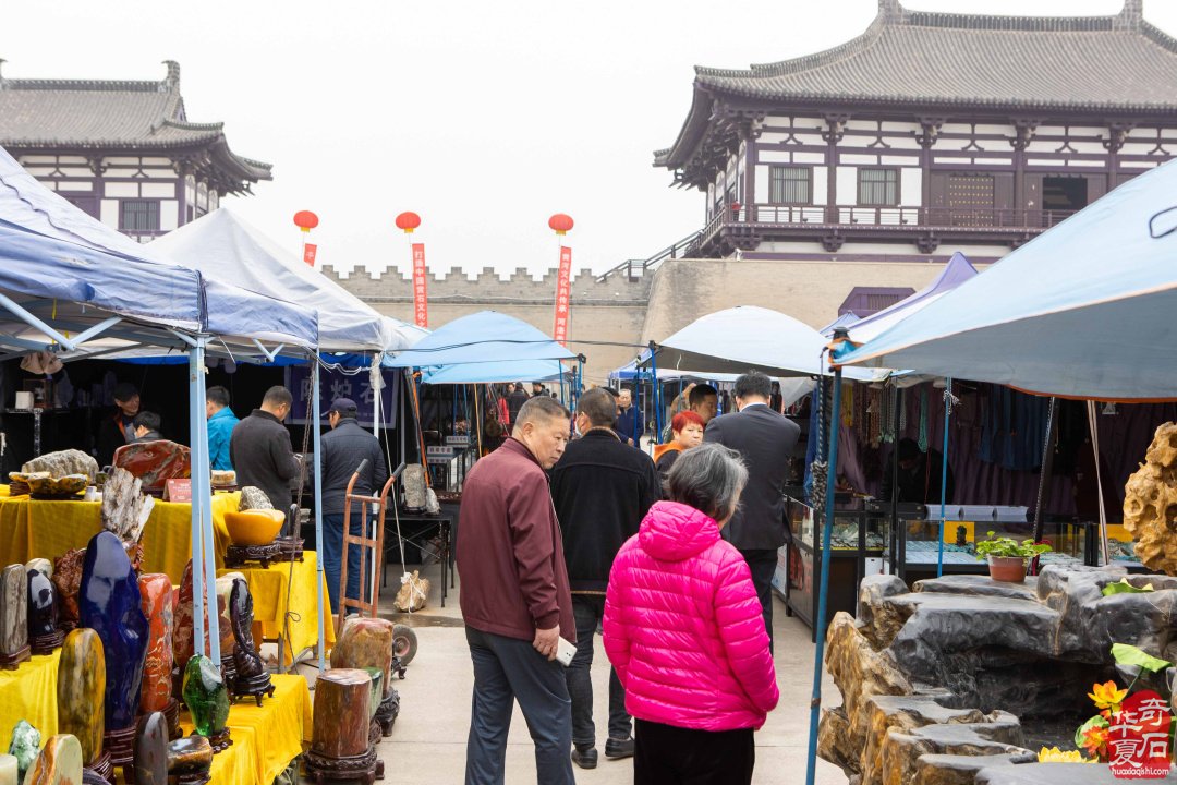 黄河流域九省区赏石文化博览会暨中国洛阳国际赏石文化艺术展盛大开幕