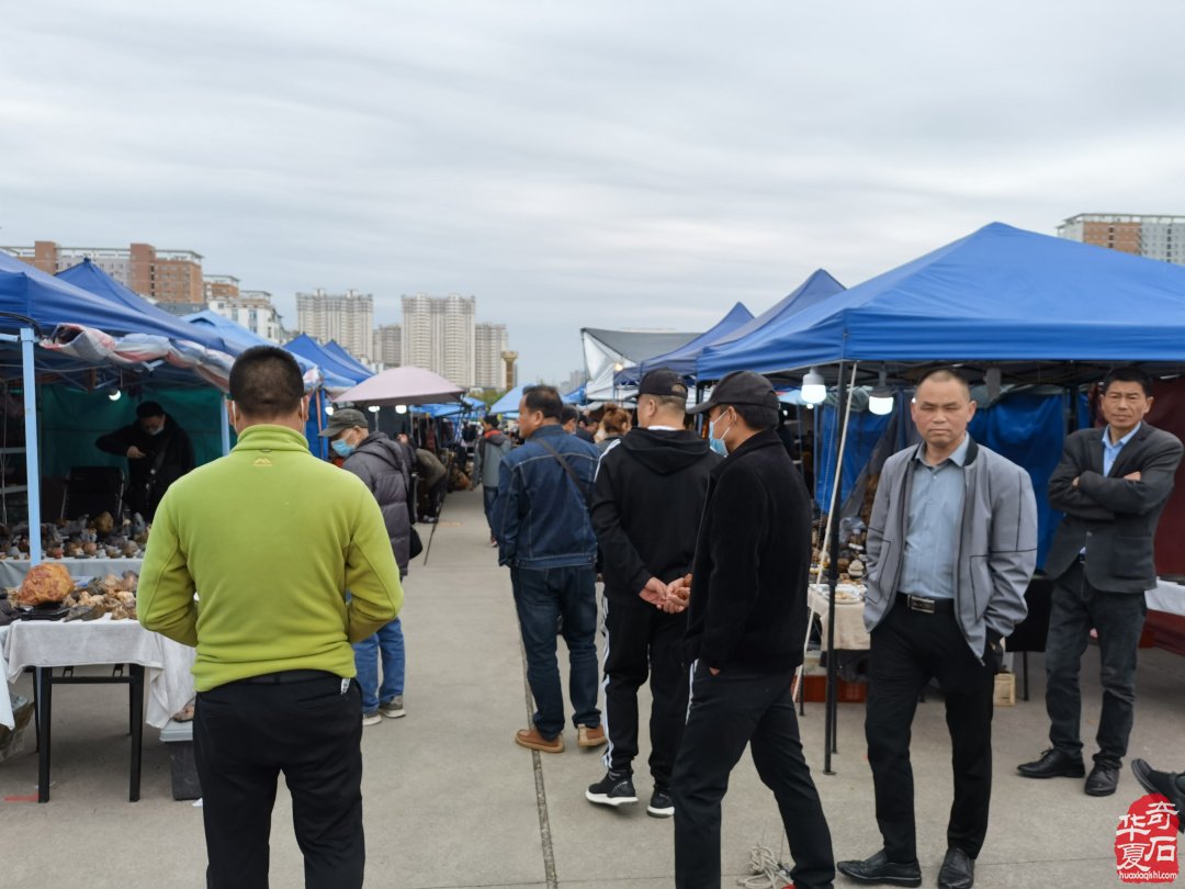 洛阳石展上石友石商们觅石淘宝销售出货尽欢颜