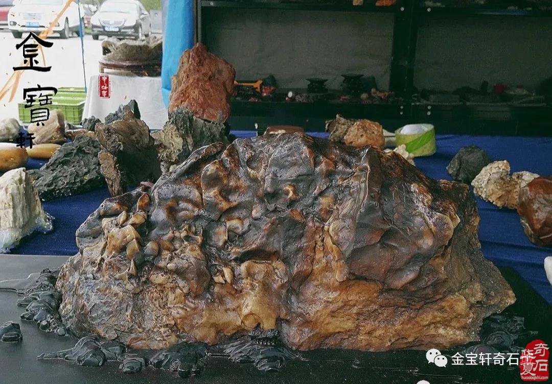 石届黑马“陈炉石”奔赴洛阳大展显身手