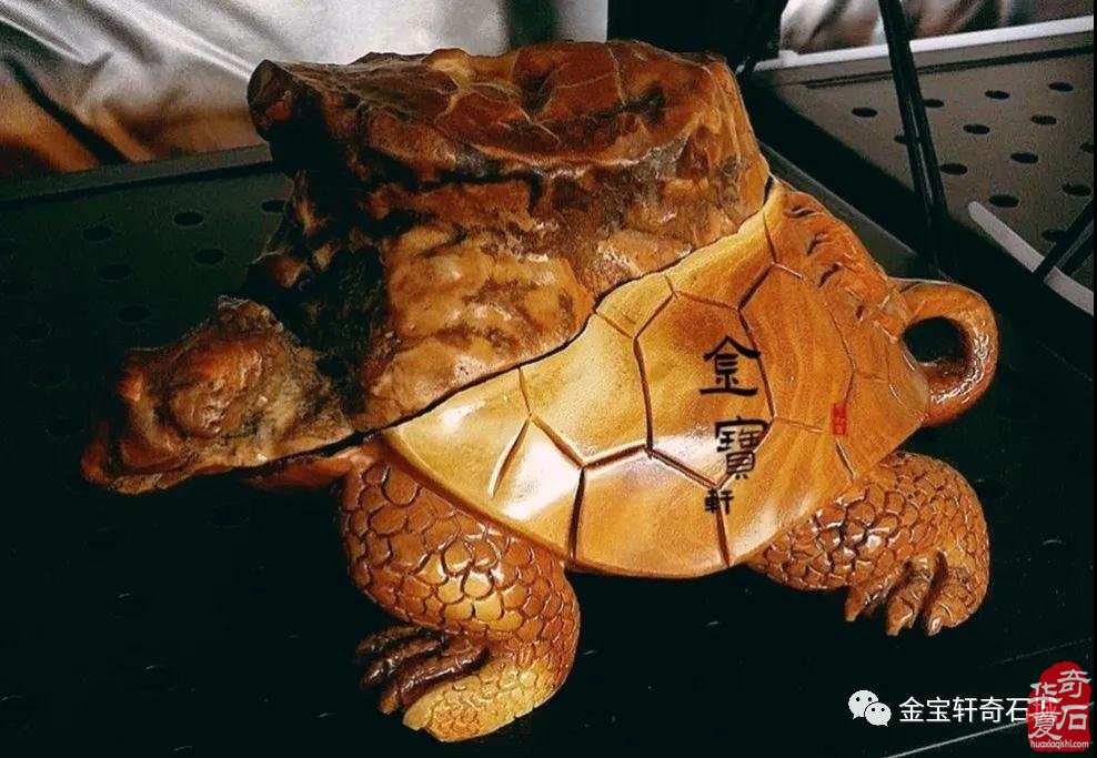 石届黑马“陈炉石”奔赴洛阳大展显身手