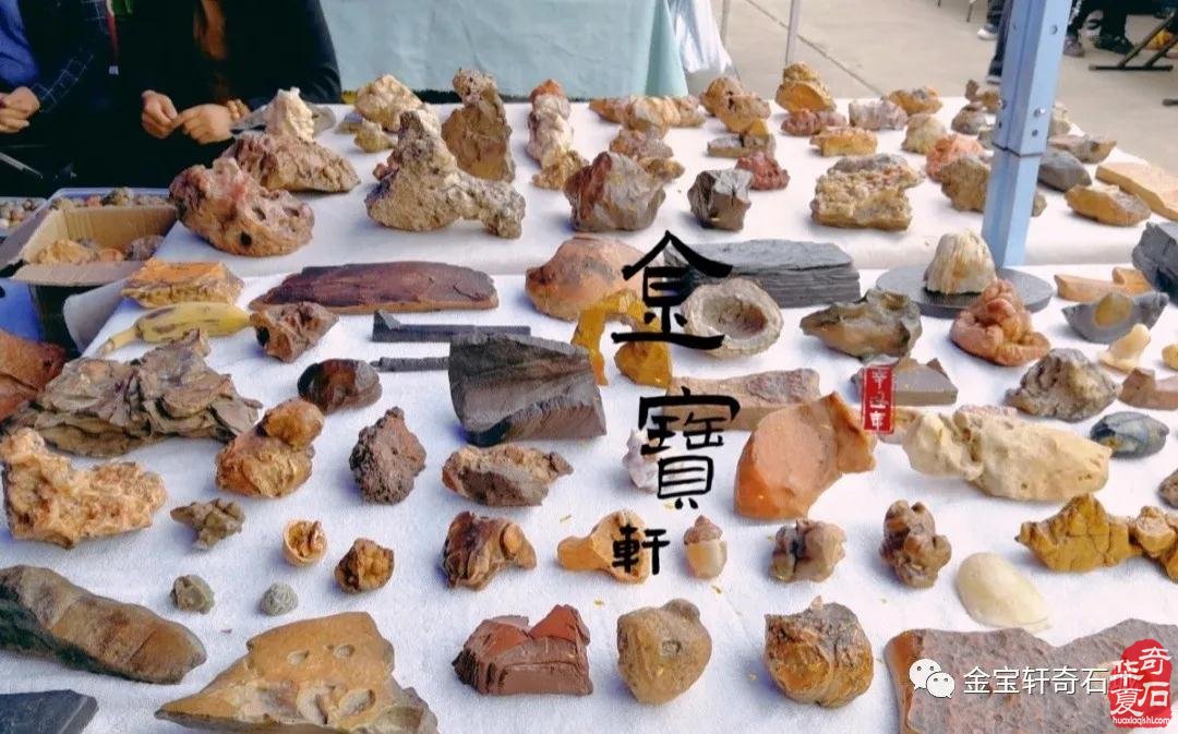 石届黑马“陈炉石”奔赴洛阳大展显身手