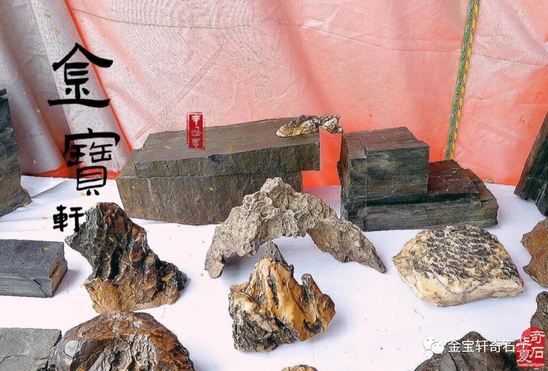 石届黑马“陈炉石”奔赴洛阳大展显身手