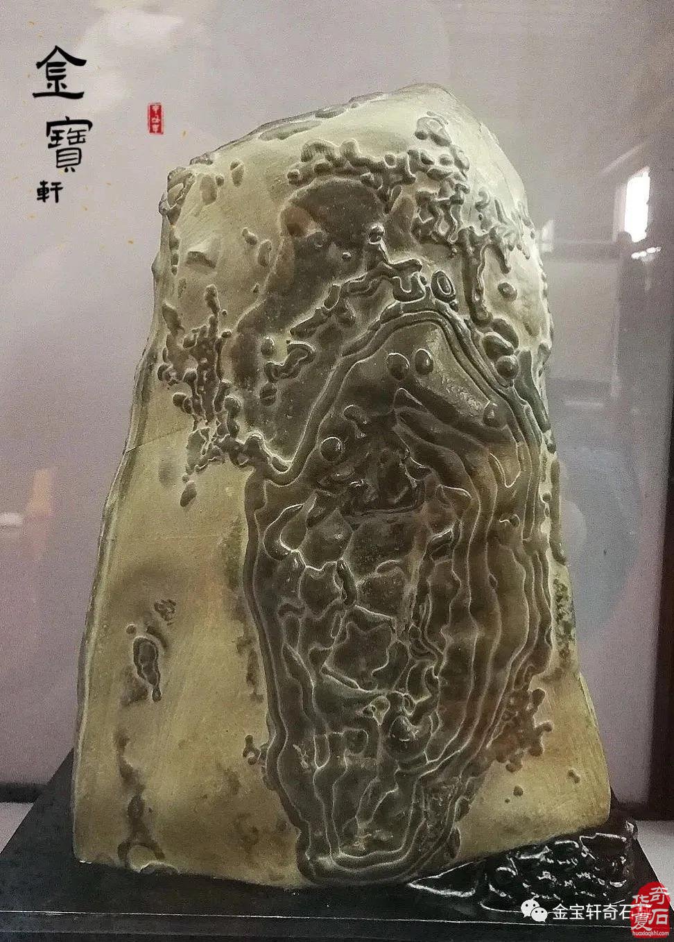 石届黑马“陈炉石”奔赴洛阳大展显身手