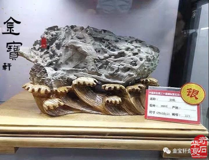 石届黑马“陈炉石”奔赴洛阳大展显身手