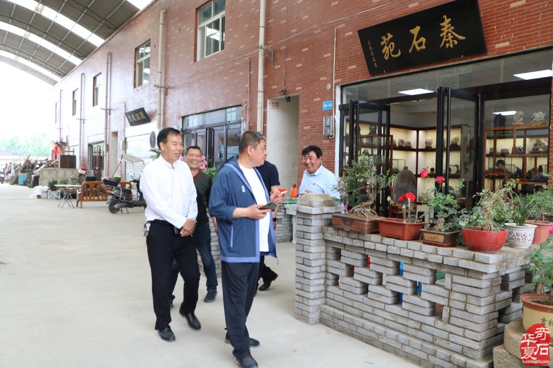 洛阳中原奇石城乔迁志喜中原石馆扬帆再起航