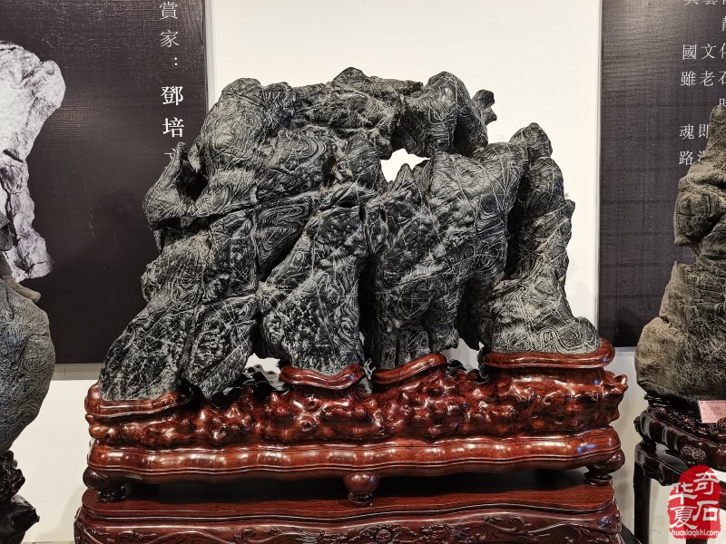 2021上海首届云间赏石盆景文化博览会隆重开幕