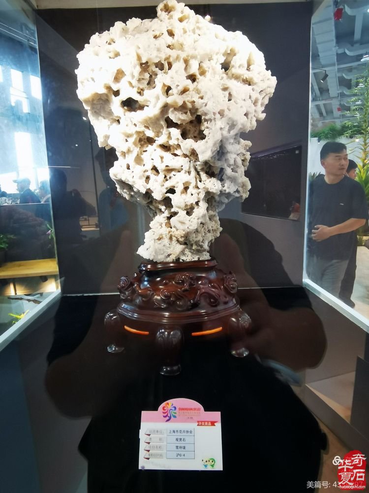 《昆石.雪玲珑》惊艳第十届中国花卉博览会 图