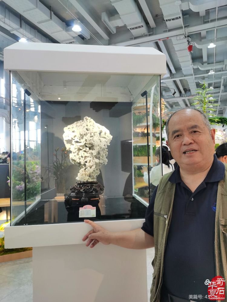 《昆石.雪玲珑》惊艳第十届中国花卉博览会 图