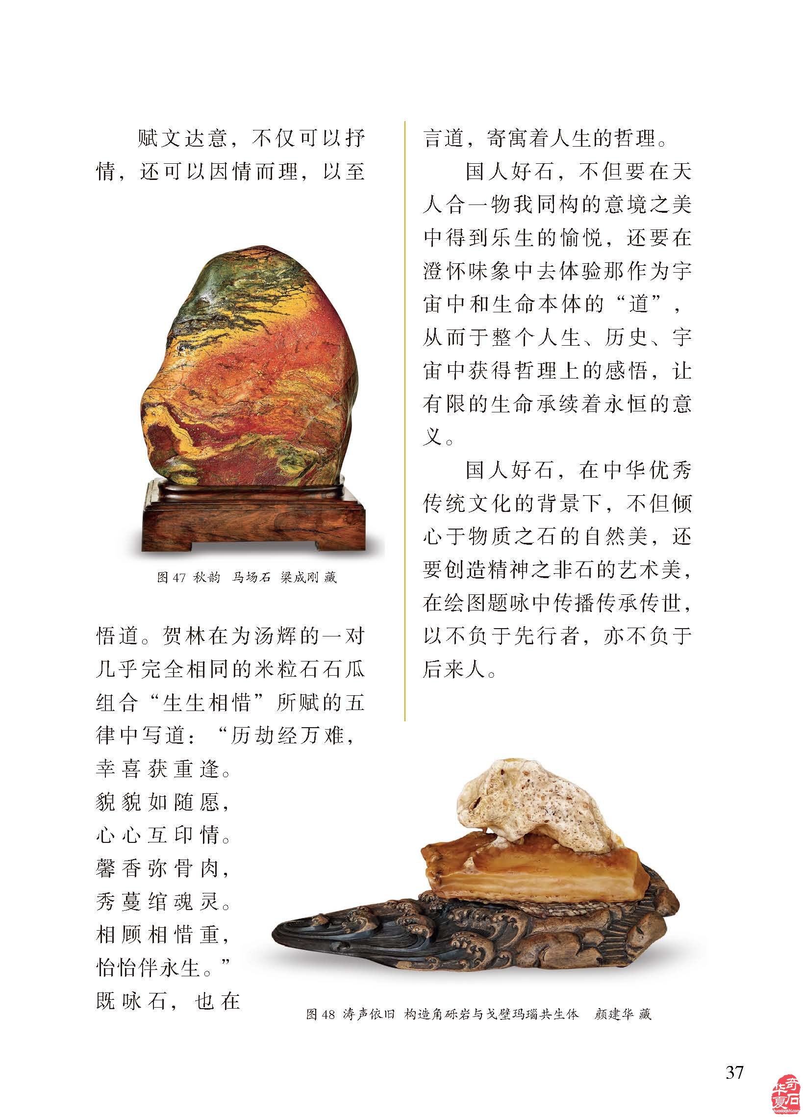 听名家论述了解各地展会就上《于公赏石》