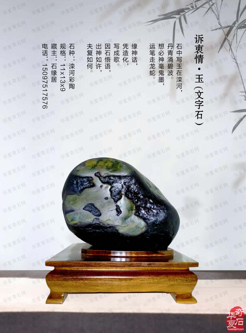 听名家论述了解各地展会就上《于公赏石》