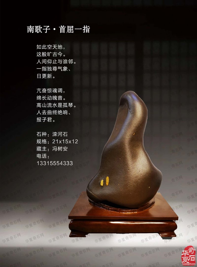 听名家论述了解各地展会就上《于公赏石》