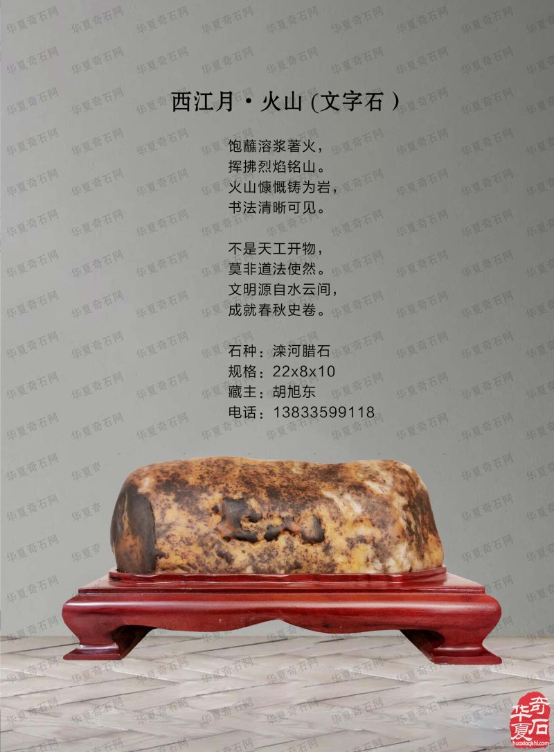 听名家论述了解各地展会就上《于公赏石》