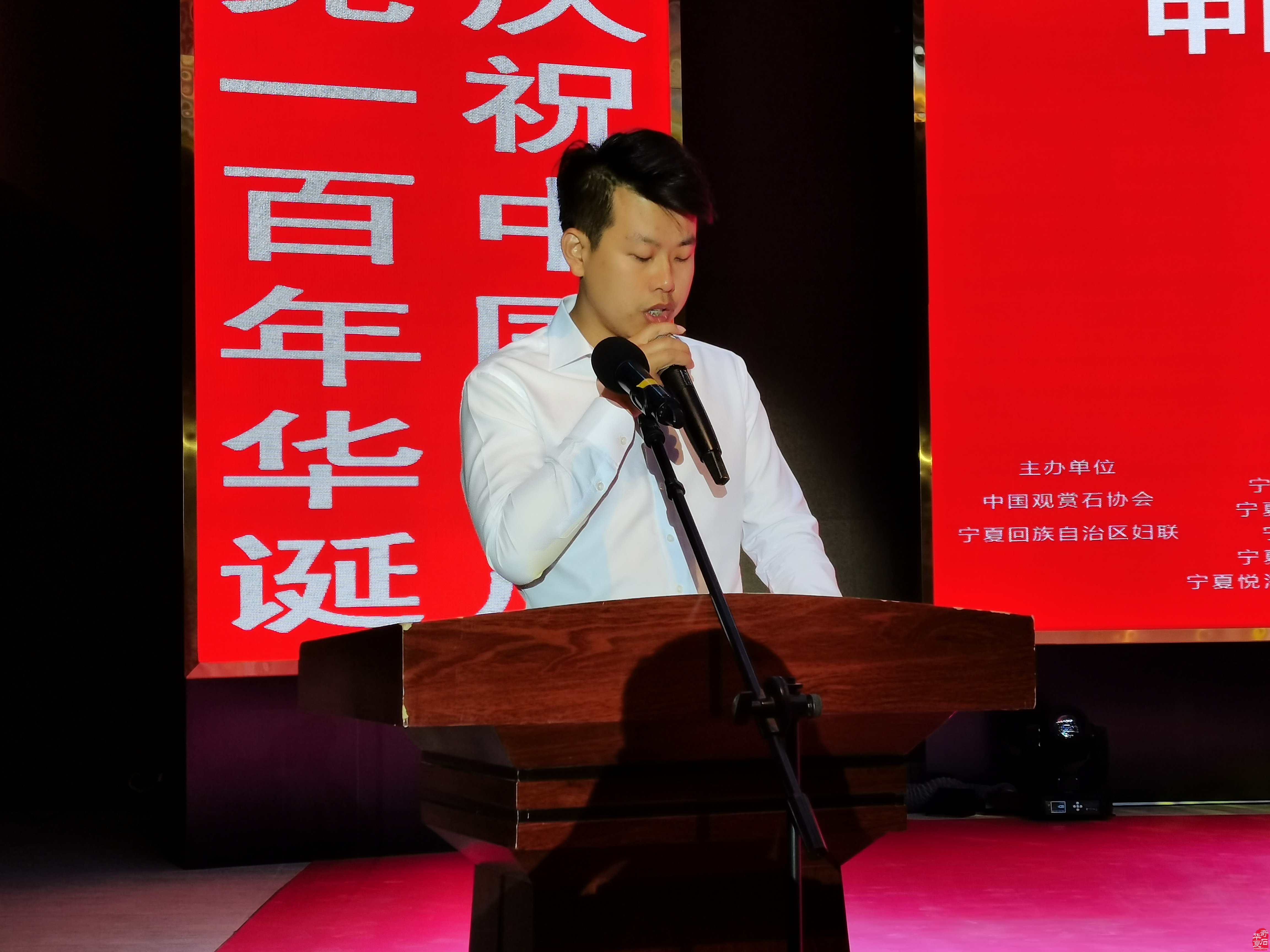 中国·银川第二届赏石非遗文化旅游博览会隆重开幕