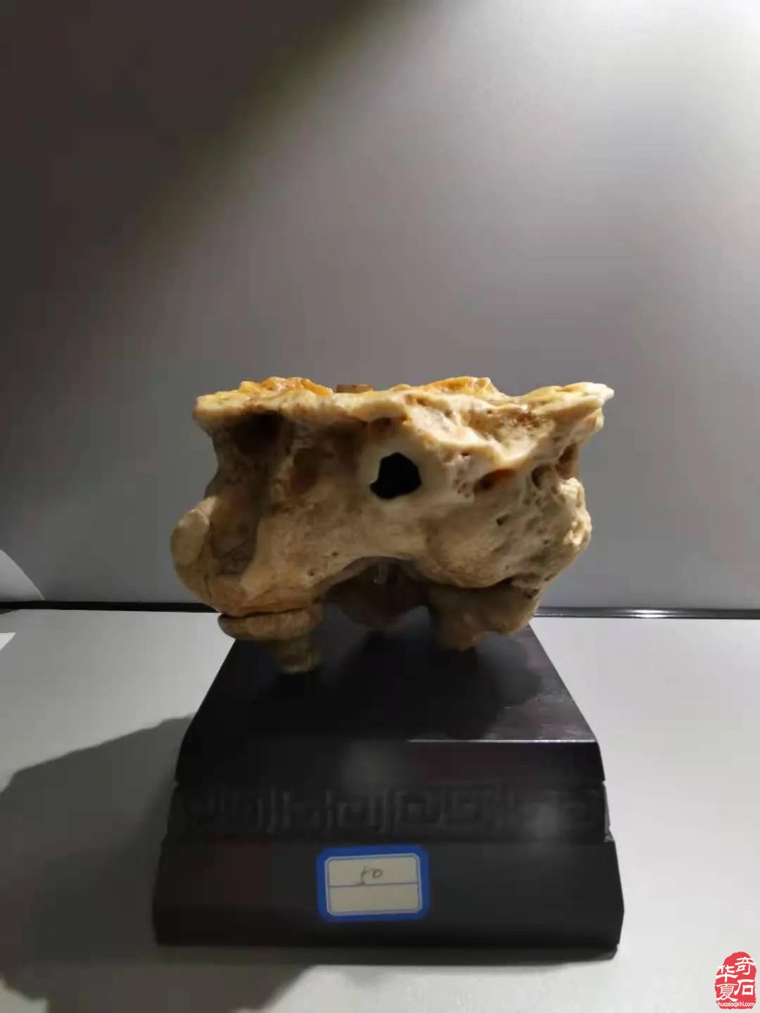 中国·银川第二届赏石非遗文化旅游博览会隆重开幕