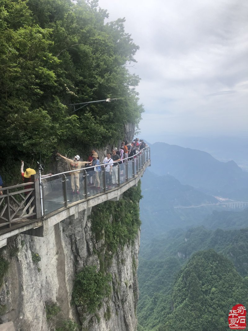 青岛赏石文化万里行走进湖南长沙石博会