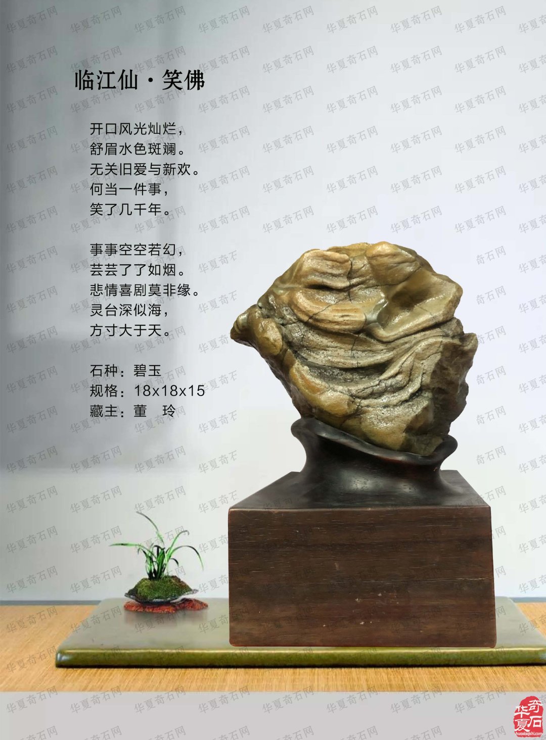 《于公赏石》助推各地红色石展 图