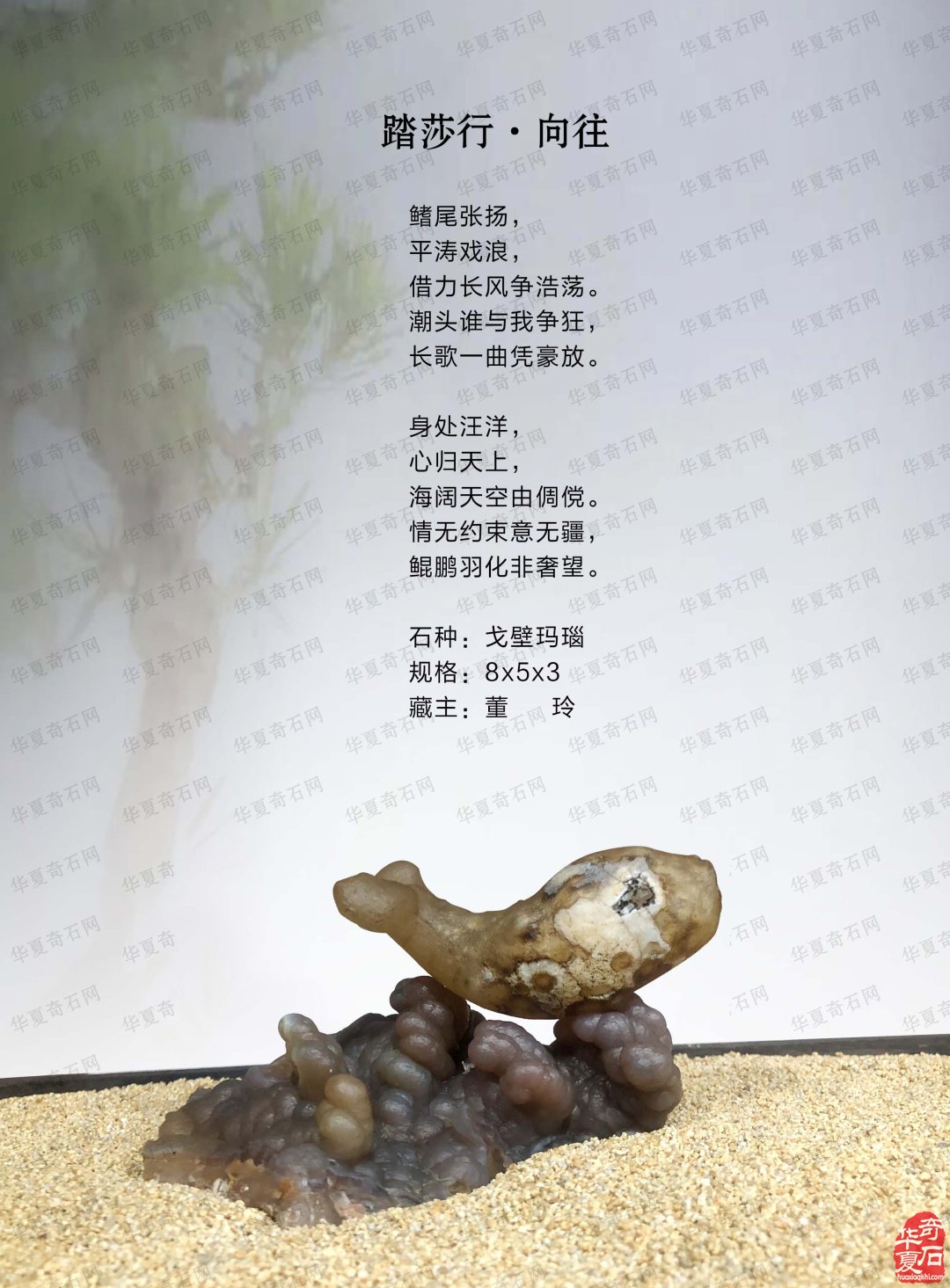 《于公赏石》助推各地红色石展 图