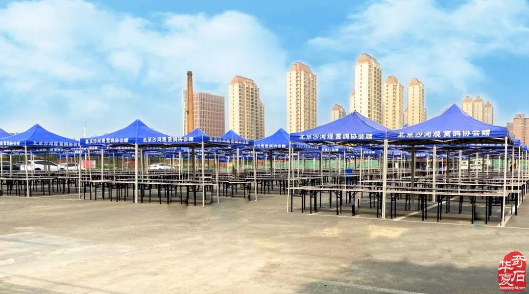 2021·中国·天津 第二届荣大花卉905观赏石 展销会