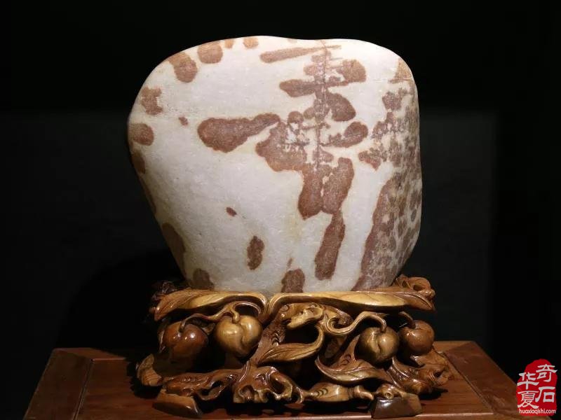 2021·中国·天津 第二届荣大花卉905观赏石 展销会
